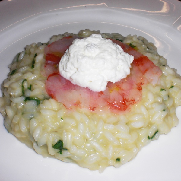 Risotto al basilico con battuto di carabinieros marinati