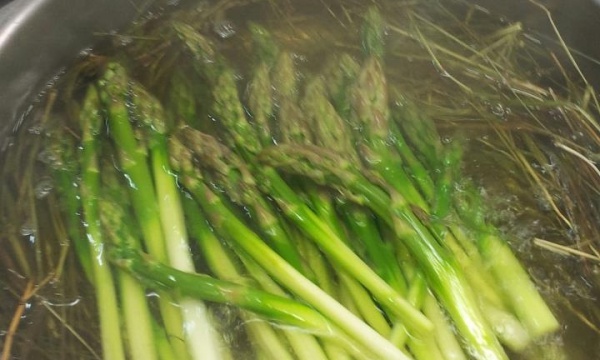 asparagi in tisana
